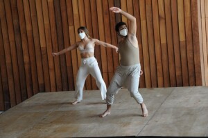 DMT (18) (Copiar)