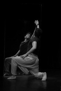 ZDANZA (9) (Copiar)